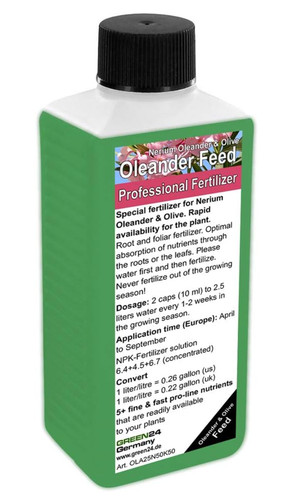 Green24 nerium oleander - oleander, &