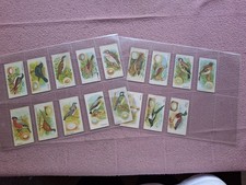 GOSSAGE - BRITISH BIRDS & EGGS x 17 CARDS abt / nr GD