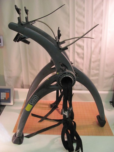 Saris bones bike rack - bones, back