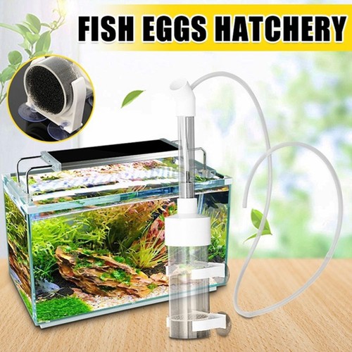 Aquarium durable fish egg - aquarium,