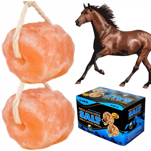 Himalayan salt licks - licks,