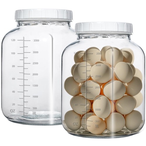 Gallon glass jar with - 1,