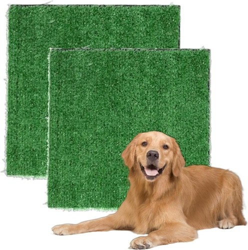 Large pet dog - large,