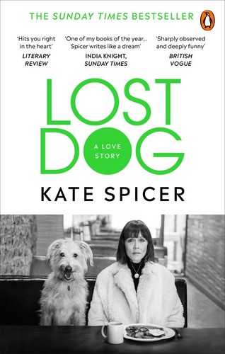Lost dog love story kate - lost,