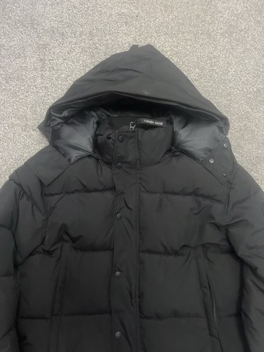 Canada goose arctic - goose,