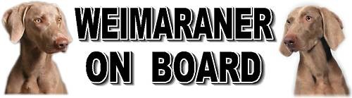 Weimaraner board dog - board, car