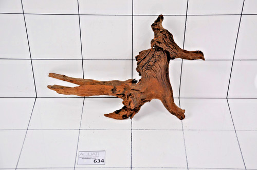 Aquarium natural wood - aquarium,