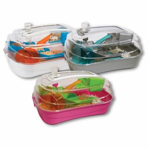 Rosewood abode dwarf hamster - abode,