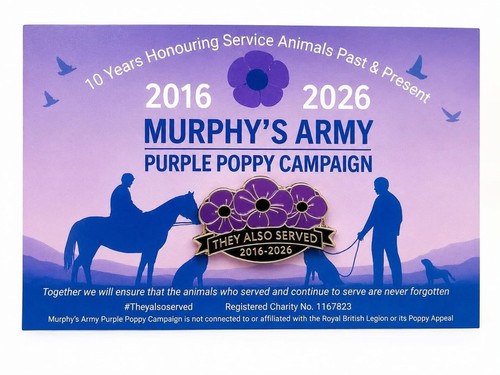 Murphy army purple - murphy’s,