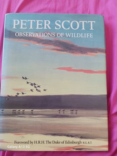 Observations wildlife peter - observations,