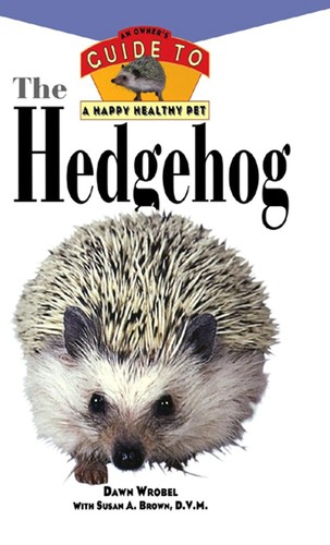 The hedgehog owner - an, owner's