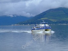 Photo 6x4 Ali Cat approaching