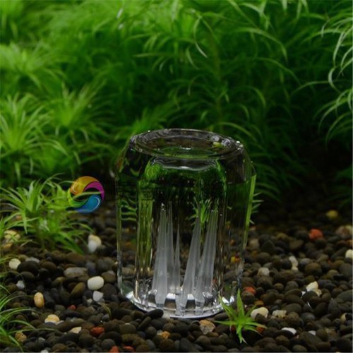 Hole snail trap bait - 8,