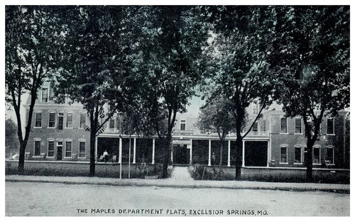 Vintage postcard 1914 maples - 1914,