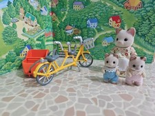 Sylvanian Families FLAIR