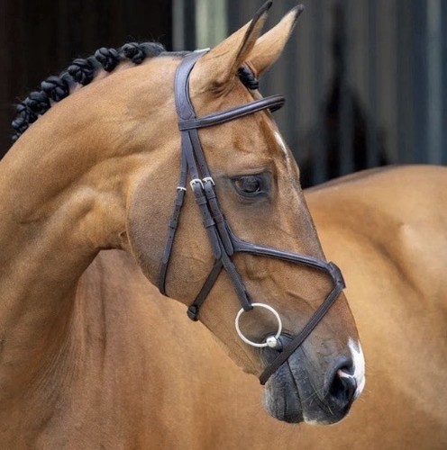 Shires velocity extra full - shires,