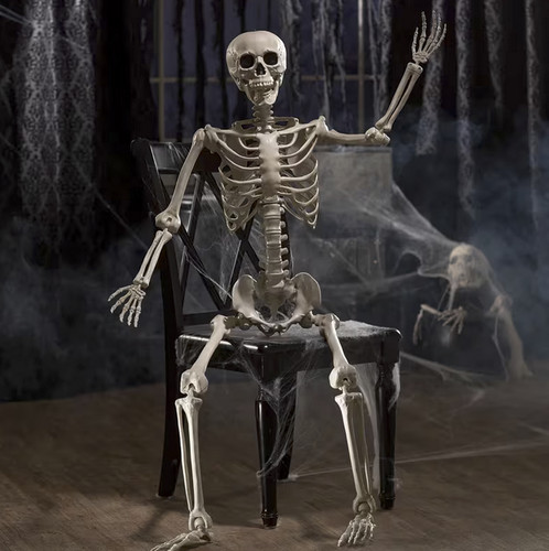 5ft life size skeleton - life,