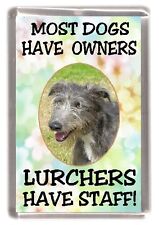 Lurcher Dog Fridge Magnet  "Most Dogs Have Owners Lurchers Have Staff" 