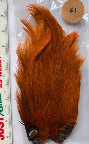 Fly tying cock cape - , top
