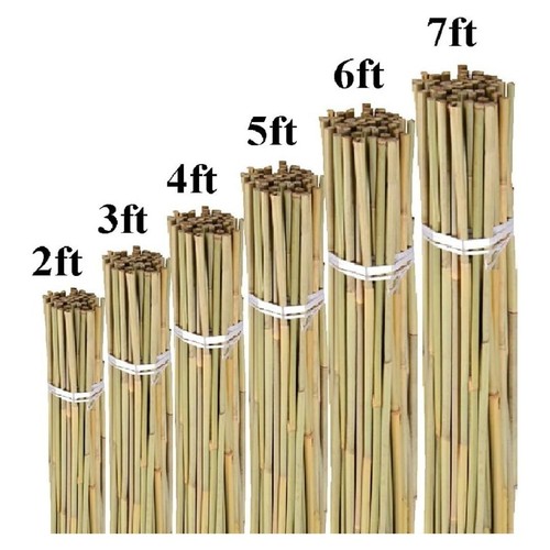 Bamboo garden heavy duty canes - heavy,