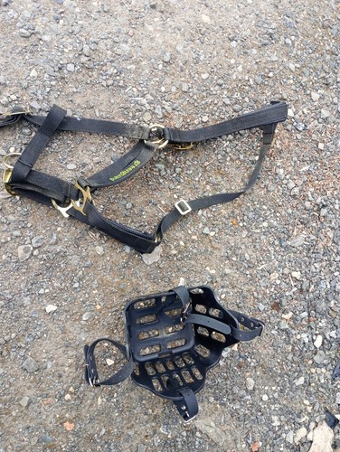 Greenguard grazing muzzle and - grazing,