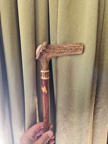 Antique walking stick antler - stick,