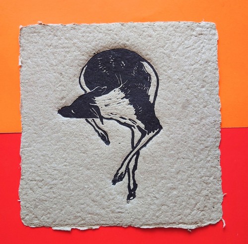 Greyhound dog original - greyhound,