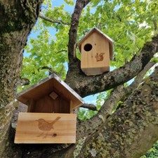 Squirrel Nest Box and Wooden