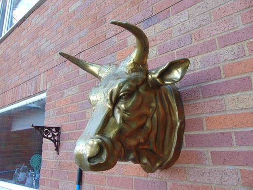 Steel bulls head - bulls, hanging