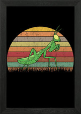 Praying Mantis Retro Framed