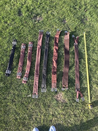 Job lot pony girths inc - pony,
