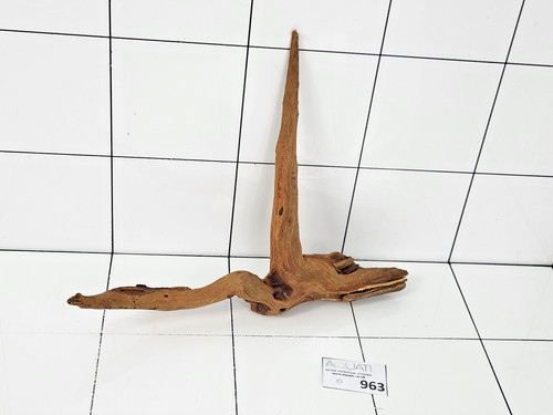 Premium aquarium natural - aquarium,