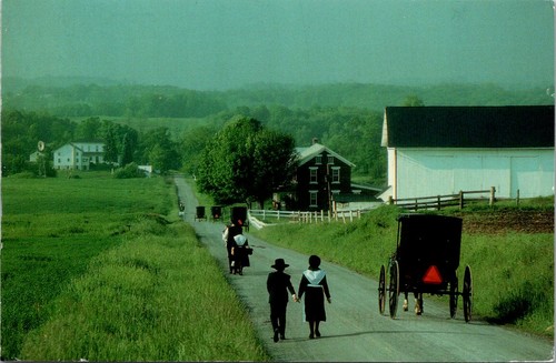 Ohio amish country - amish,