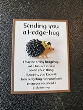 Pocket Hug / Pet Hedgehog Gift 