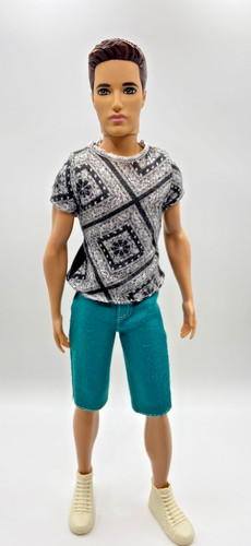 Barbie fashionistas ken - fashionistas,