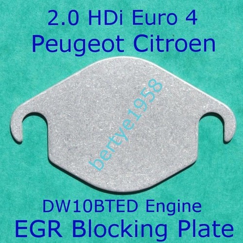 Egr valve blank plate - valve,