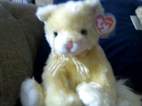 Classic glitz plush - ty, cat