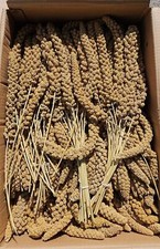 Millet sprays for birds (15kg)