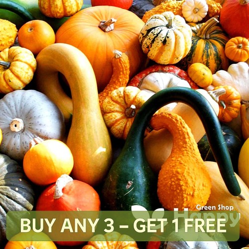Mix gourds seeds - -,