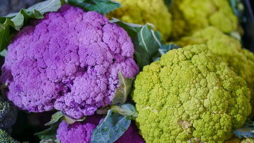 Mixed pack cauliflower - pack, plug