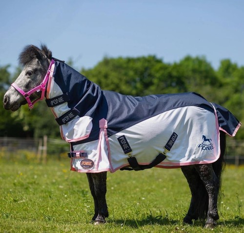Gallop ponie hybrid trojan - hybrid,