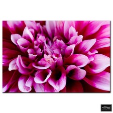 Floral Flowers BOTANICAL   BOX