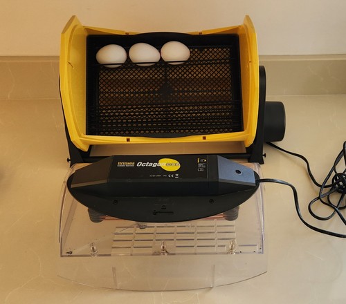 Brinsea octagon eco egg - octagon,