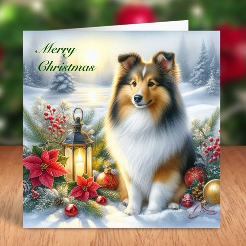 Shetland sheepdog dog - shetland,