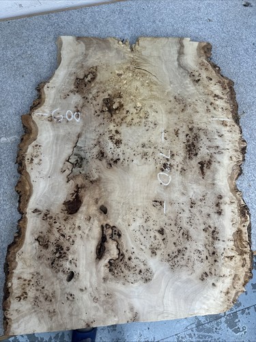 Live edge poplar burr - burr, wood