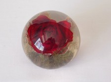 HAFOD GRANGE RED ROSE