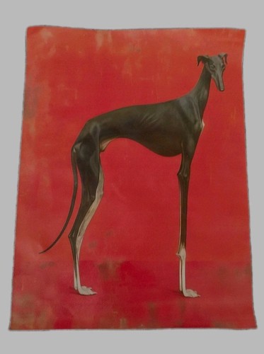 Greyhound print unframed black - greyhound,