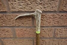 Red Deer Antler HandCrafted Walking Stick Crook 127cm