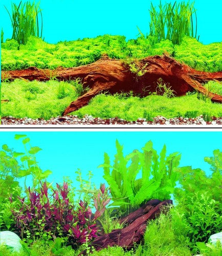 Aquarium fish tank background - tank,
