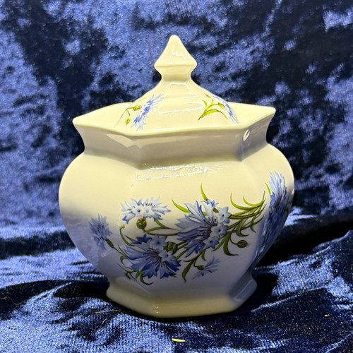 Vintage english bone - bone, china